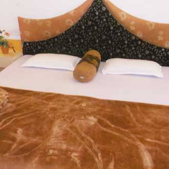Hotel Umashree, Pachmarhi 3